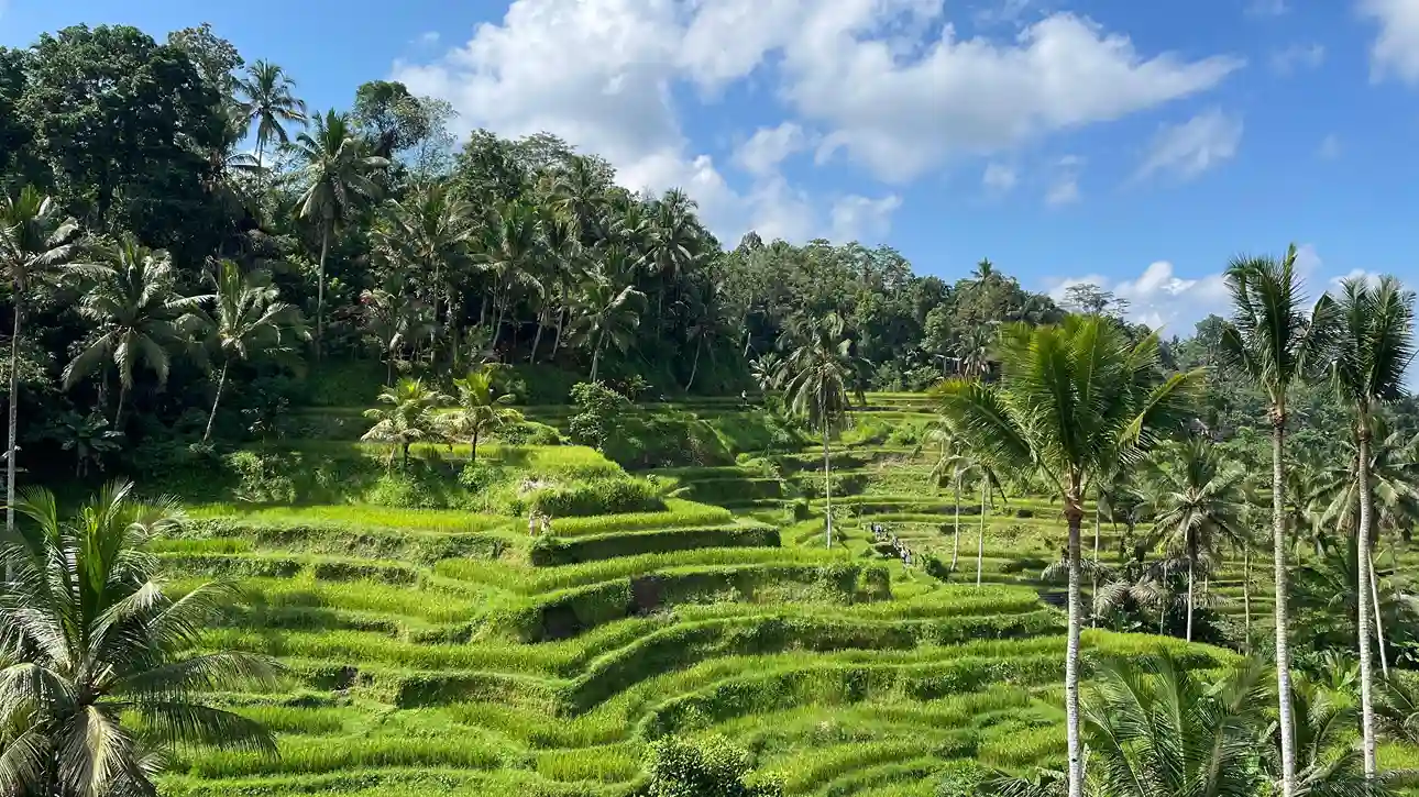 Ubud